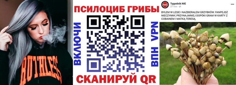 Галлюциногенные грибы мухоморы Купить где Михайлов